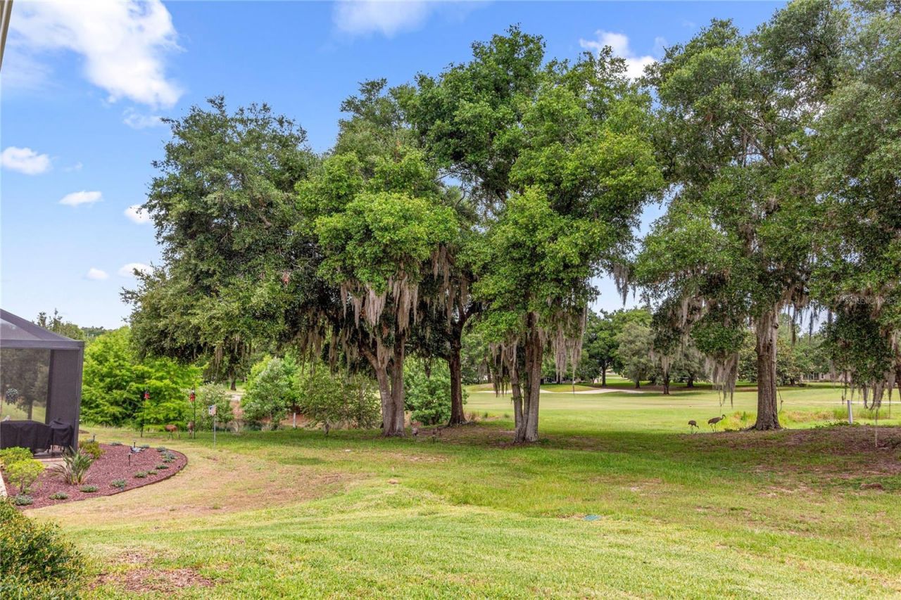 5090 Greens Drive , Lady Lake, FL 32159 Photo
