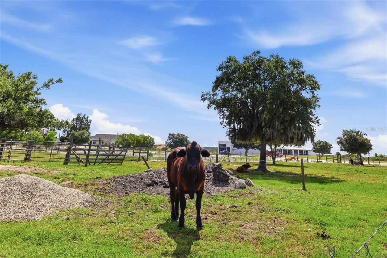 13105 Mj Road, Myakka City, FL 34251 Photo