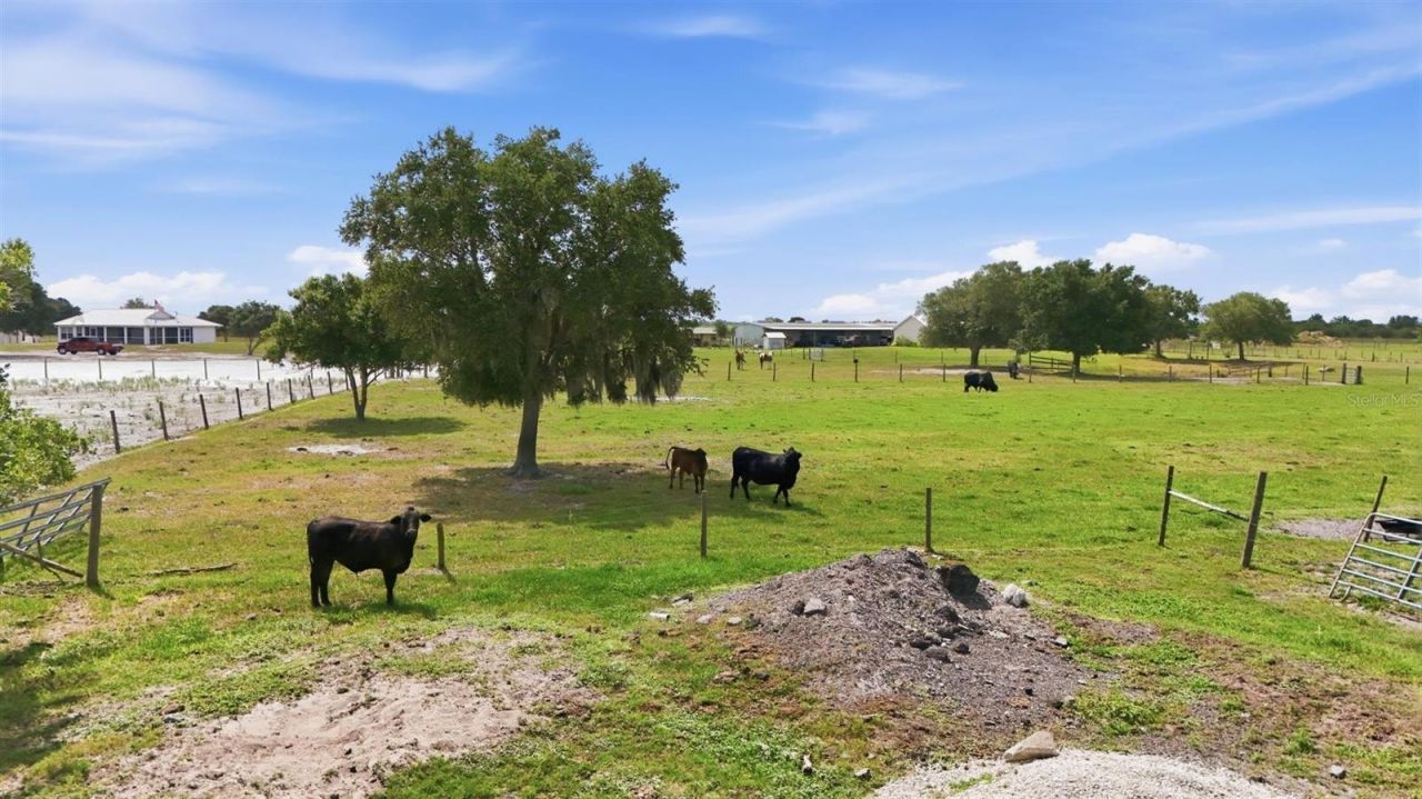 13105 Mj Road, Myakka City, FL 34251 Photo
