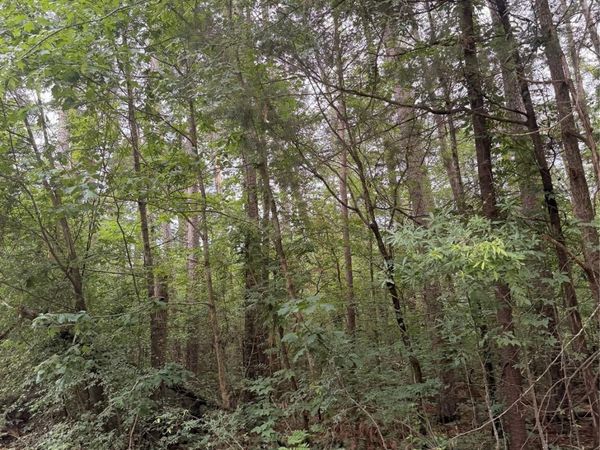 00 Concord Road , New London, NC 28127