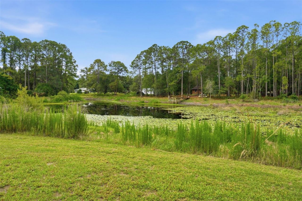 9380 N Cedar Cove Road, Dunnellon, FL 34434 Photo
