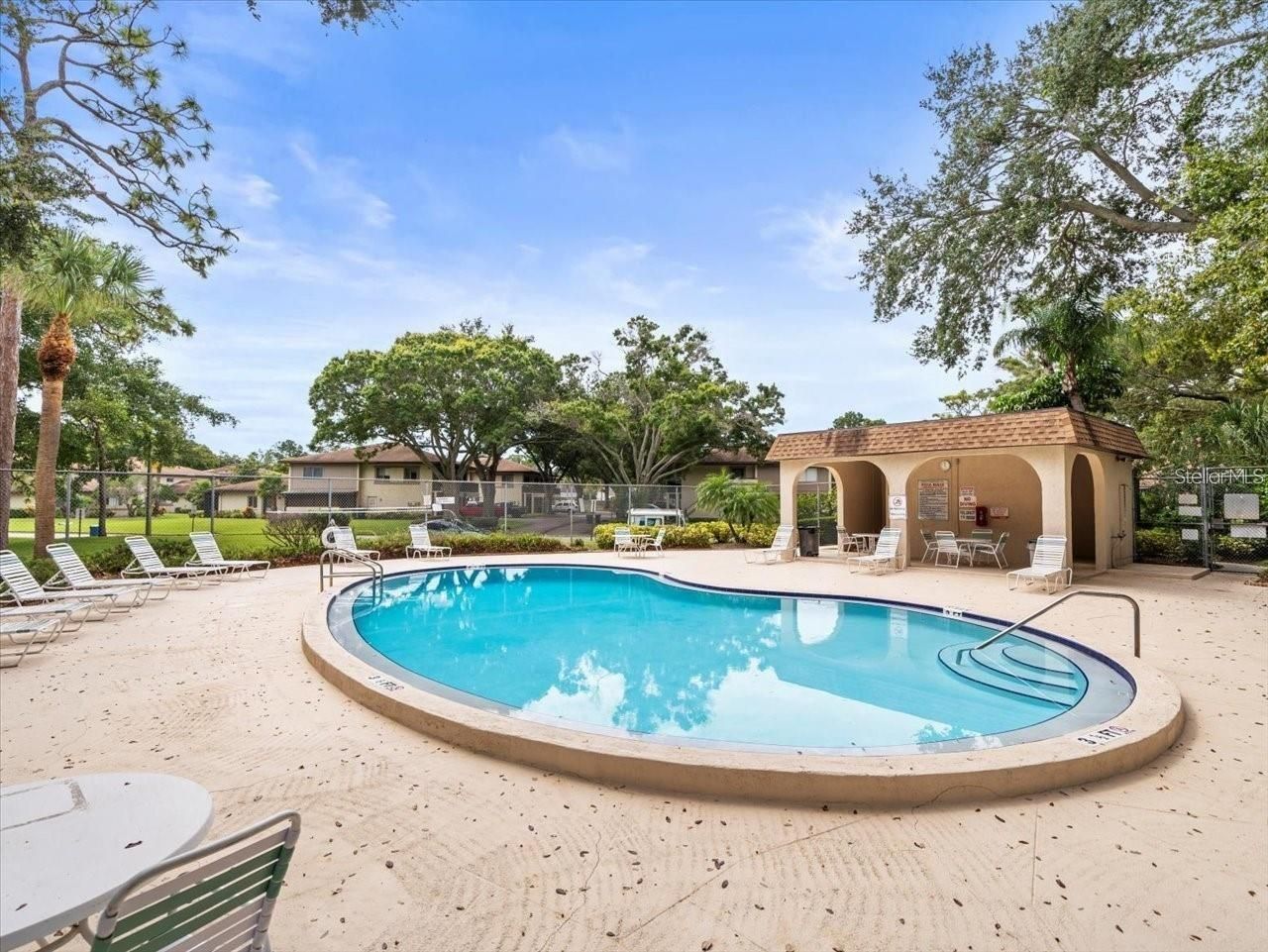2935 Lichen Lane, Unit C, Clearwater, FL 33760 Photo