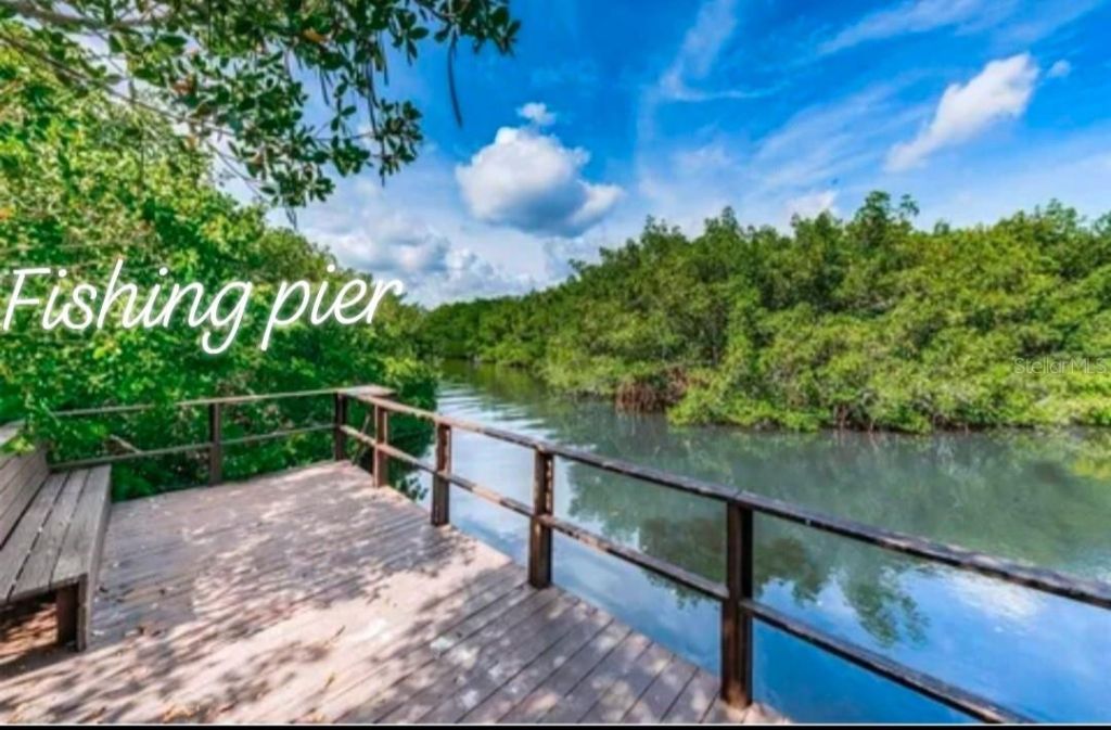 2935 Lichen Lane, Unit C, Clearwater, FL 33760 Photo