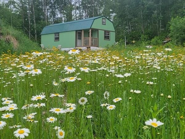 11116 Blackberry Road, Trego, WI 54888
