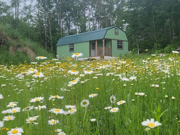 11116 N Blackberry Road, Trego, WI 54888