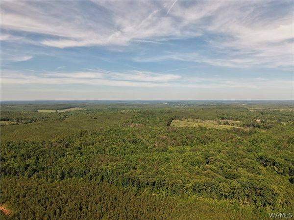 0000 Co Hwy 97 , Detroit, AL 35552
