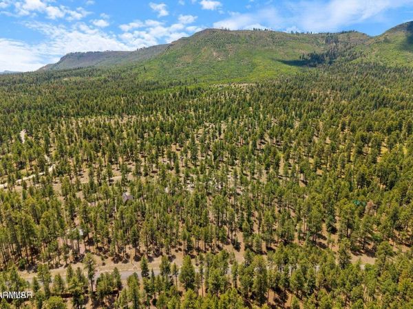 98 County Road 2266, Unit n/a, Alpine, AZ 85920