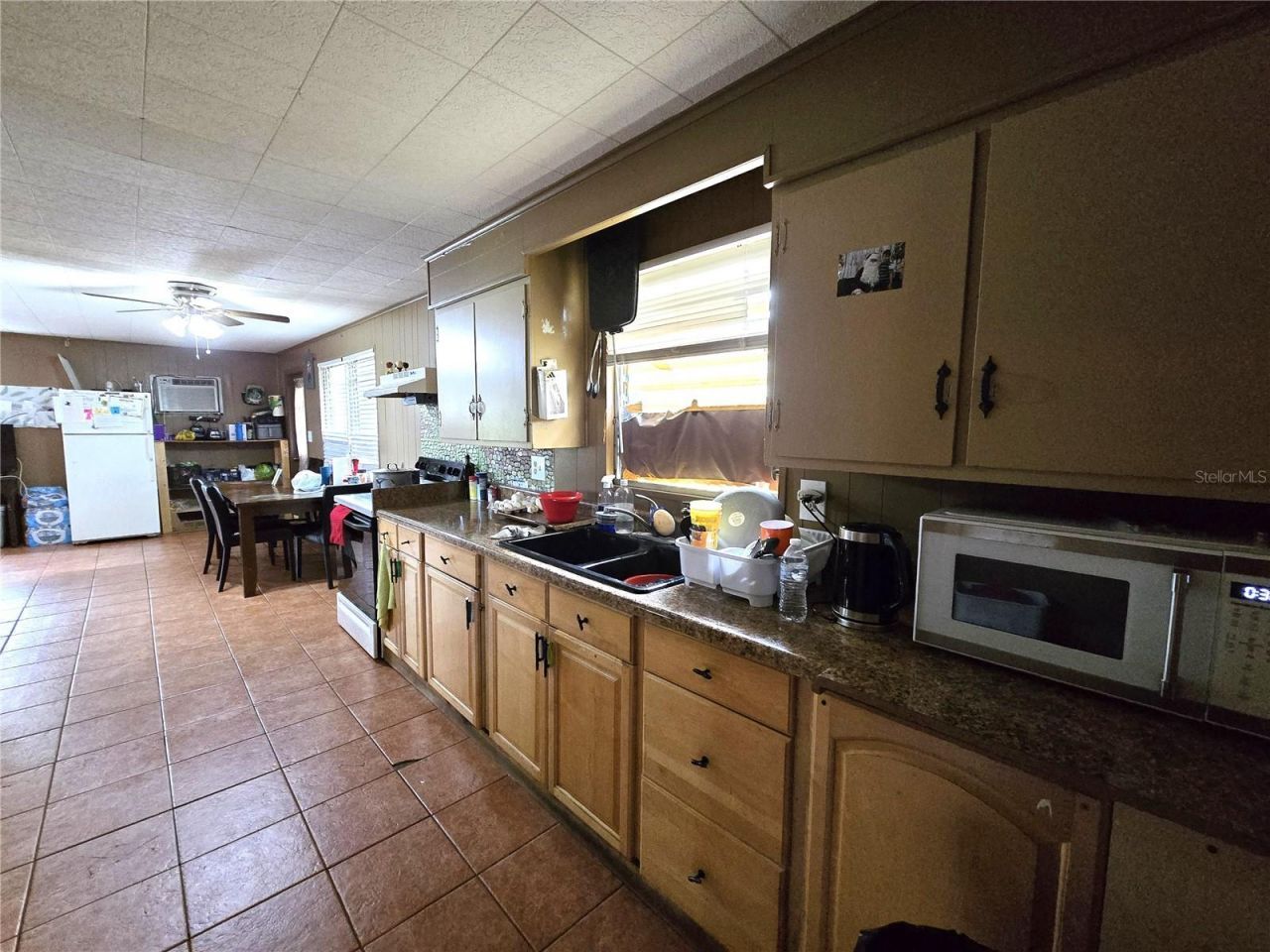 912 Pearl Mary Circle, Plant City, FL 33566 Photo
