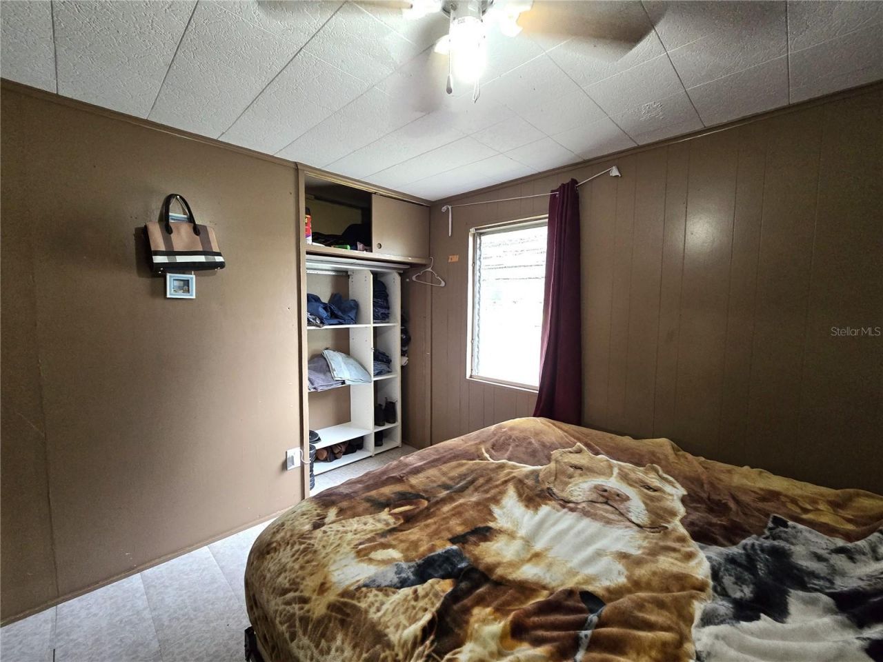 912 Pearl Mary Circle, Plant City, FL 33566 Photo