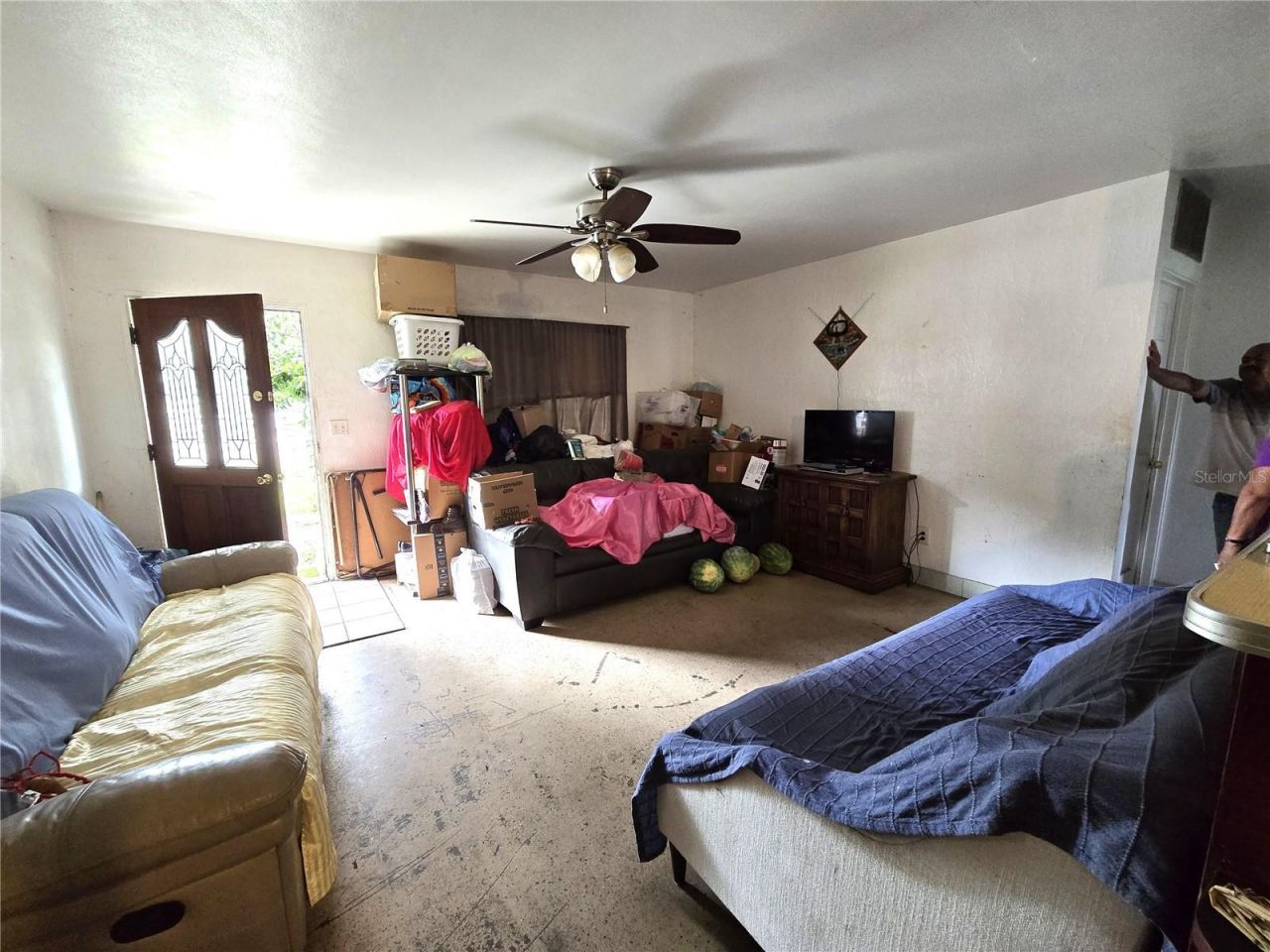 912 Pearl Mary Circle, Plant City, FL 33566 Photo