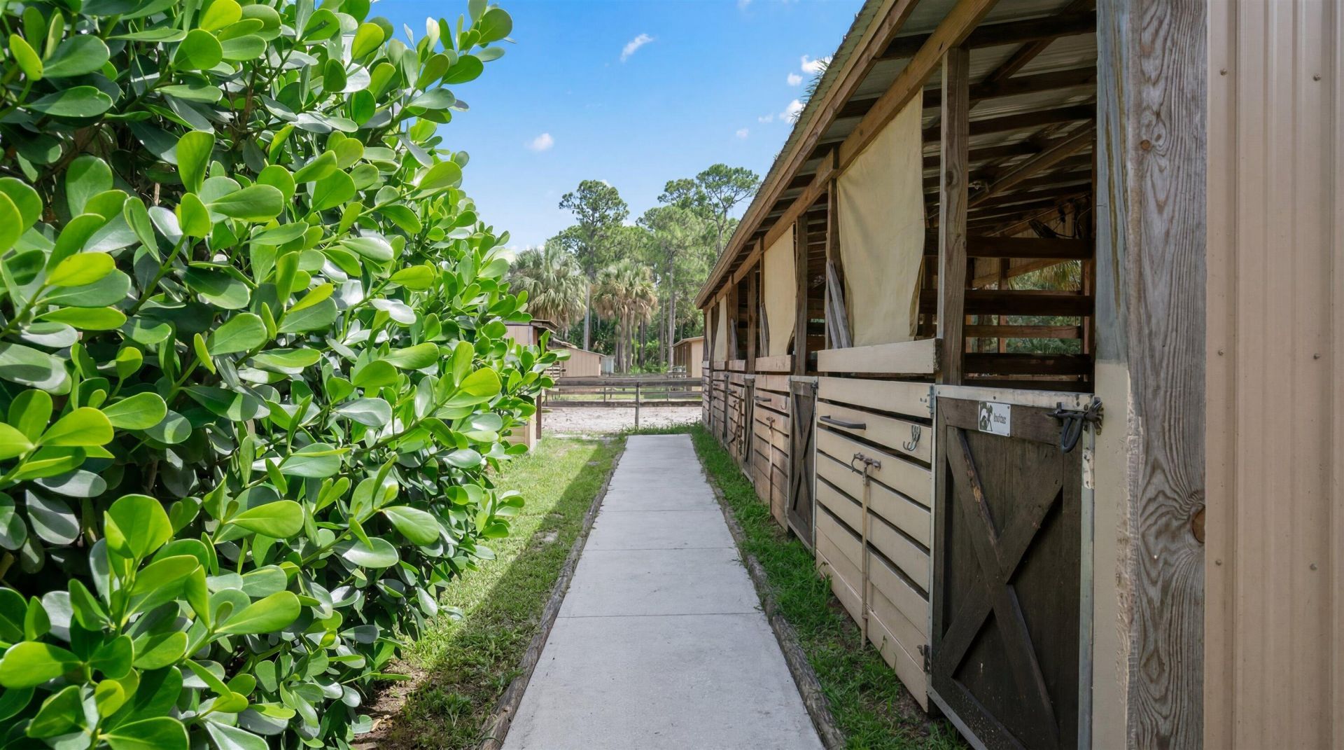 2910 Doe Trail, Loxahatchee, FL 33470 Photo