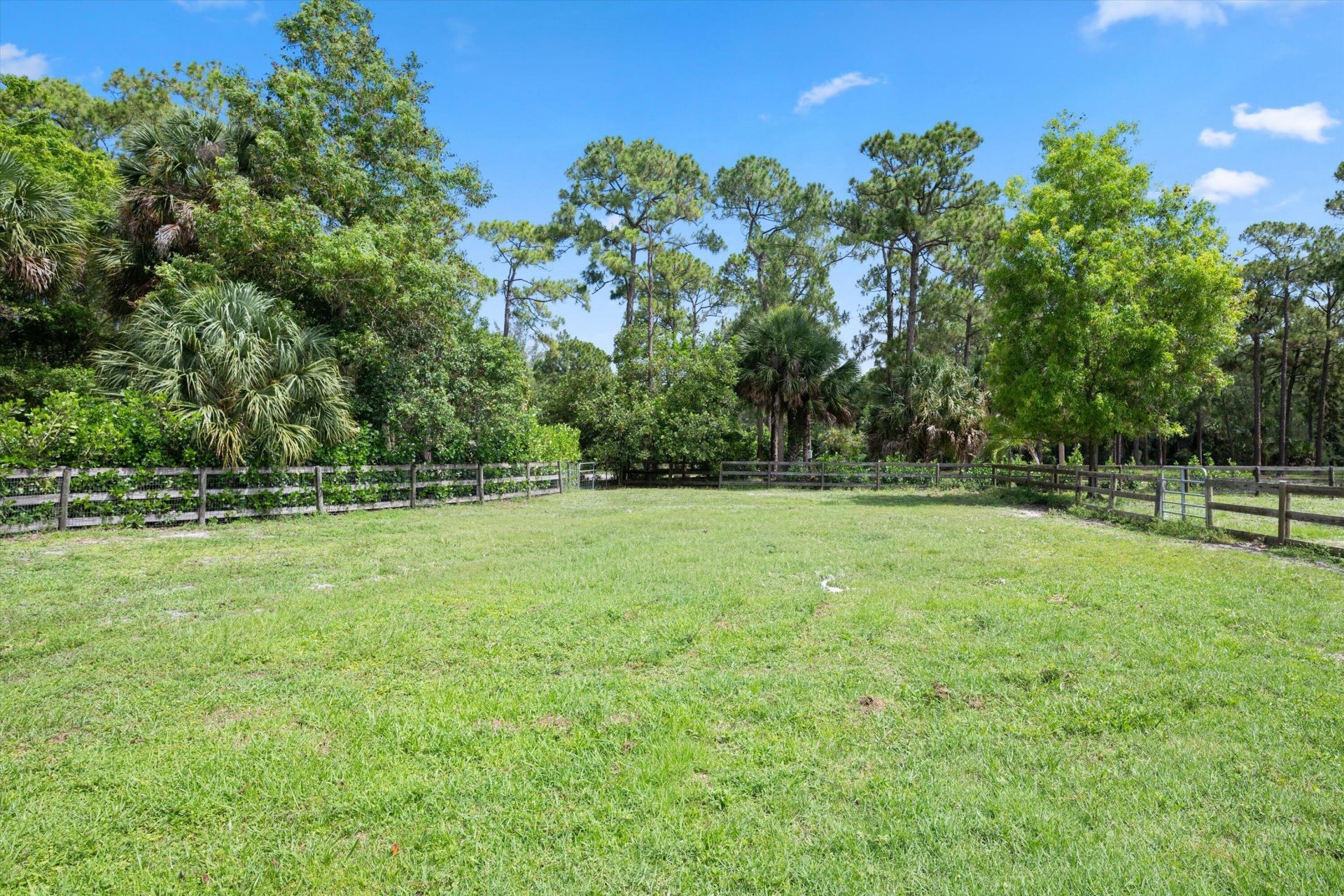 2910 Doe Trail, Loxahatchee, FL 33470 Photo