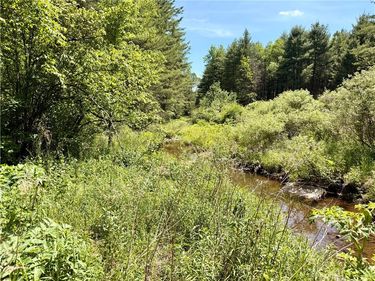 Copes Corners Road , South New Berlin, NY 13776