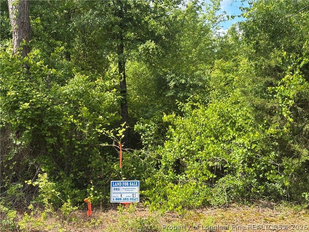 Johnson Road, Fayetteville, NC 28312 Main Photo