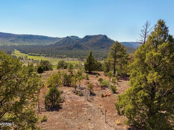 N2280 Noble Mountain Est, Unit 47, Nutrioso, AZ 85932