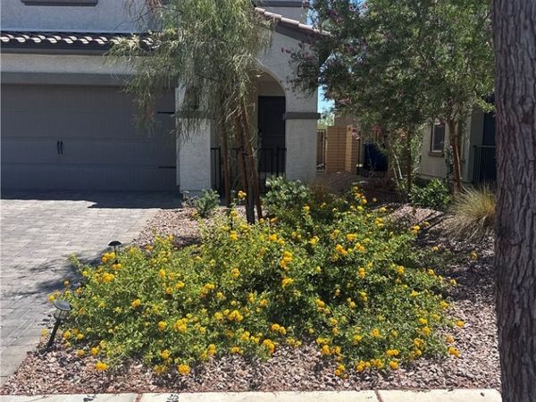 331 Brockbank Place, Henderson, NV 89011