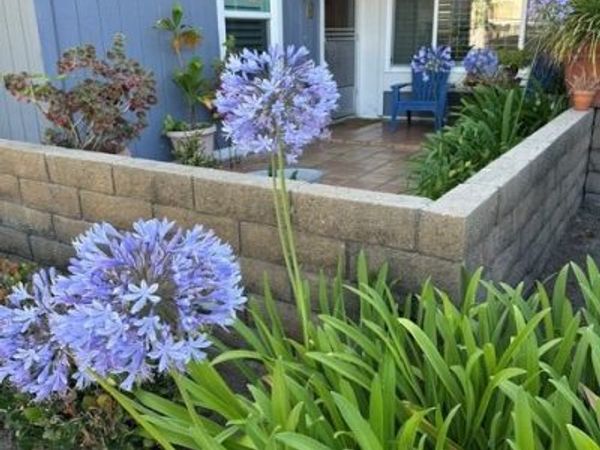 29562 Brook Court, San Juan Capistrano, CA 92675