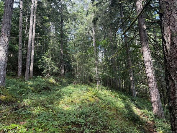DL106 Grouhel Rd , Unit #part, Ladysmith, BC V9G 1J5