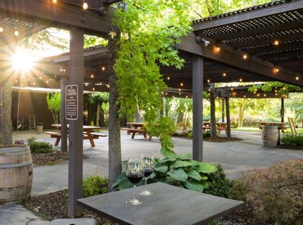 20680 Shenandoah School Road, Plymouth, CA 95669 Photo