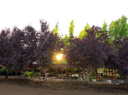20680 Shenandoah School Road, Plymouth, CA 95669 Photo