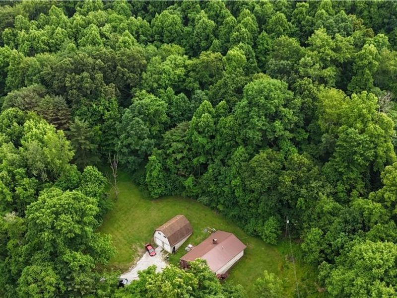 16575 Township Road 287, Conesville, OH 43811 Photo 34