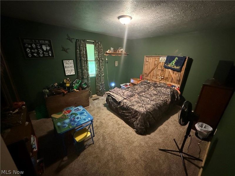 16575 Township Road 287, Conesville, OH 43811 Photo 9