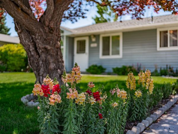 832 Wildrose, Blackfoot, ID 83221