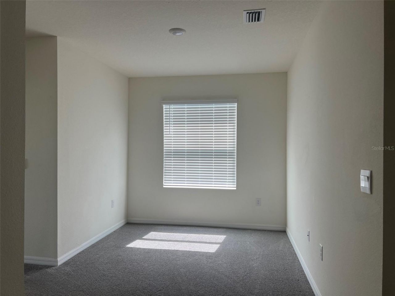 32978 Tulip Petal Lane , Wesley Chapel, FL 33545 Photo