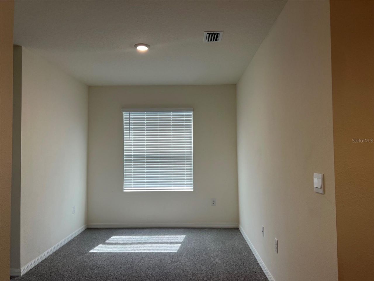 32978 Tulip Petal Lane , Wesley Chapel, FL 33545 Photo