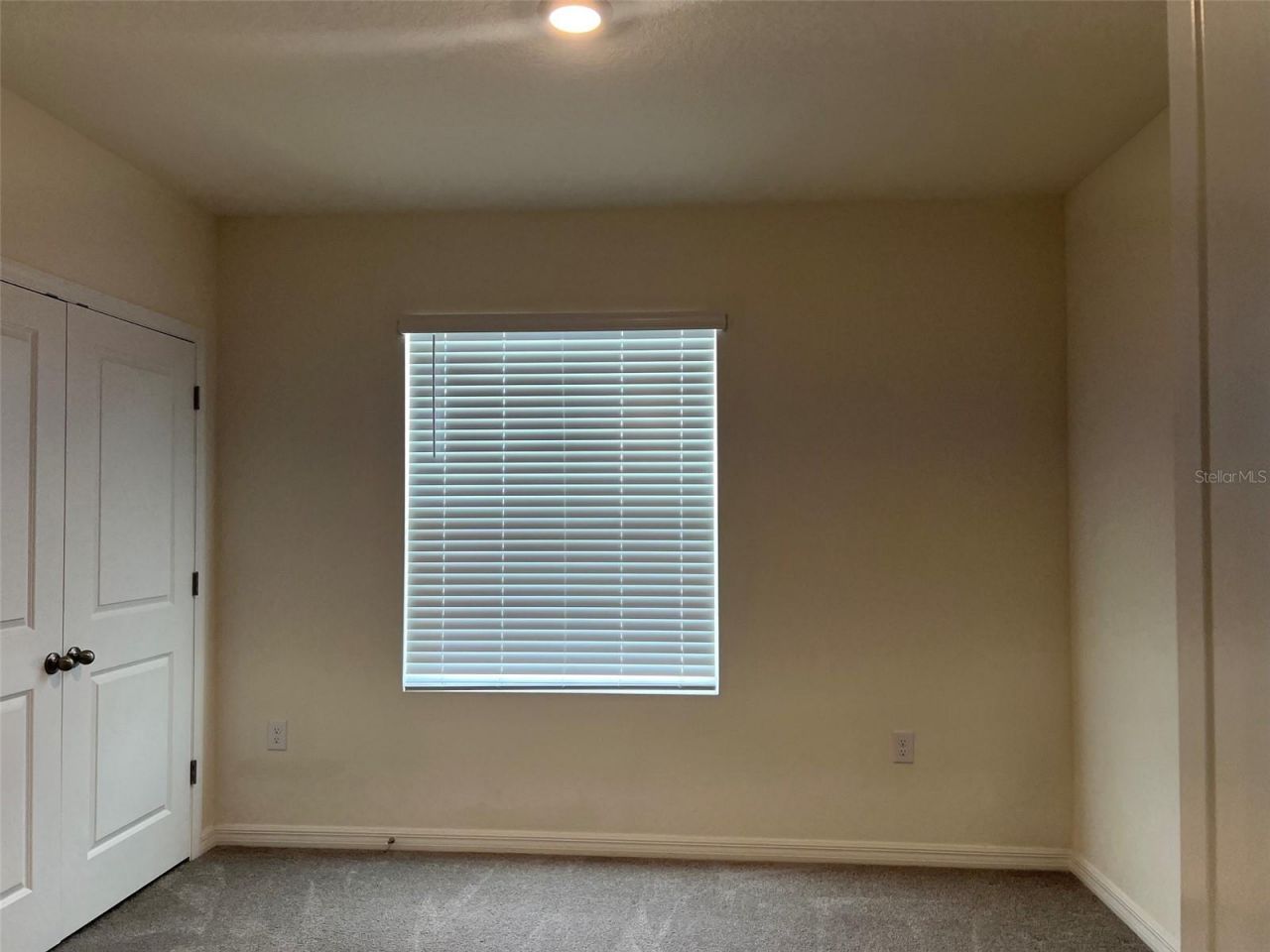 32978 Tulip Petal Lane , Wesley Chapel, FL 33545 Photo