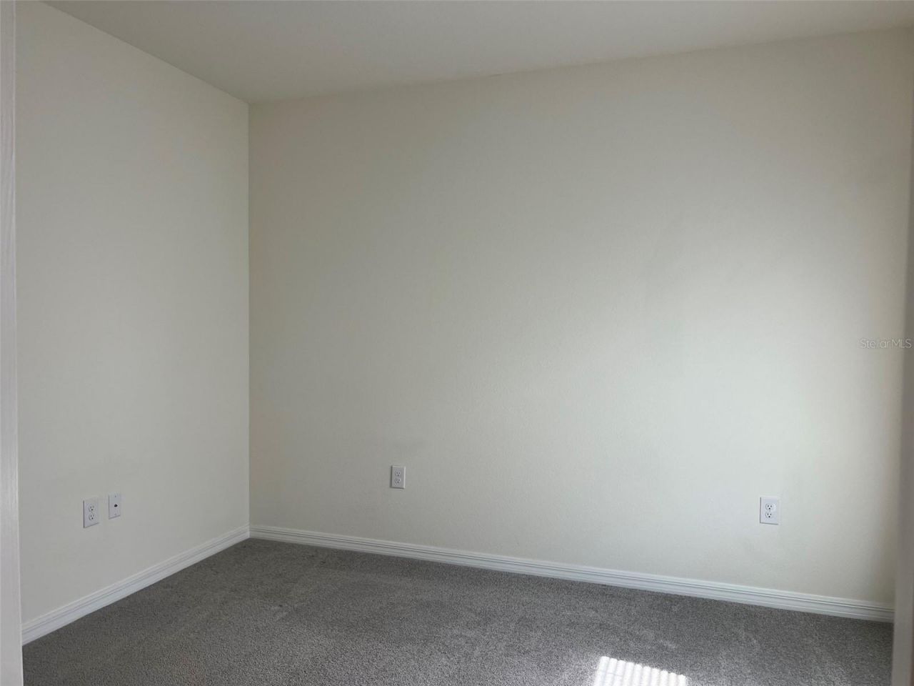32978 Tulip Petal Lane , Wesley Chapel, FL 33545 Photo