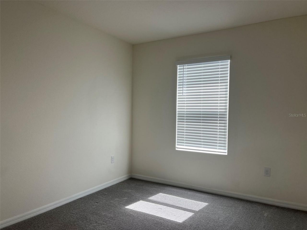 32978 Tulip Petal Lane , Wesley Chapel, FL 33545 Photo