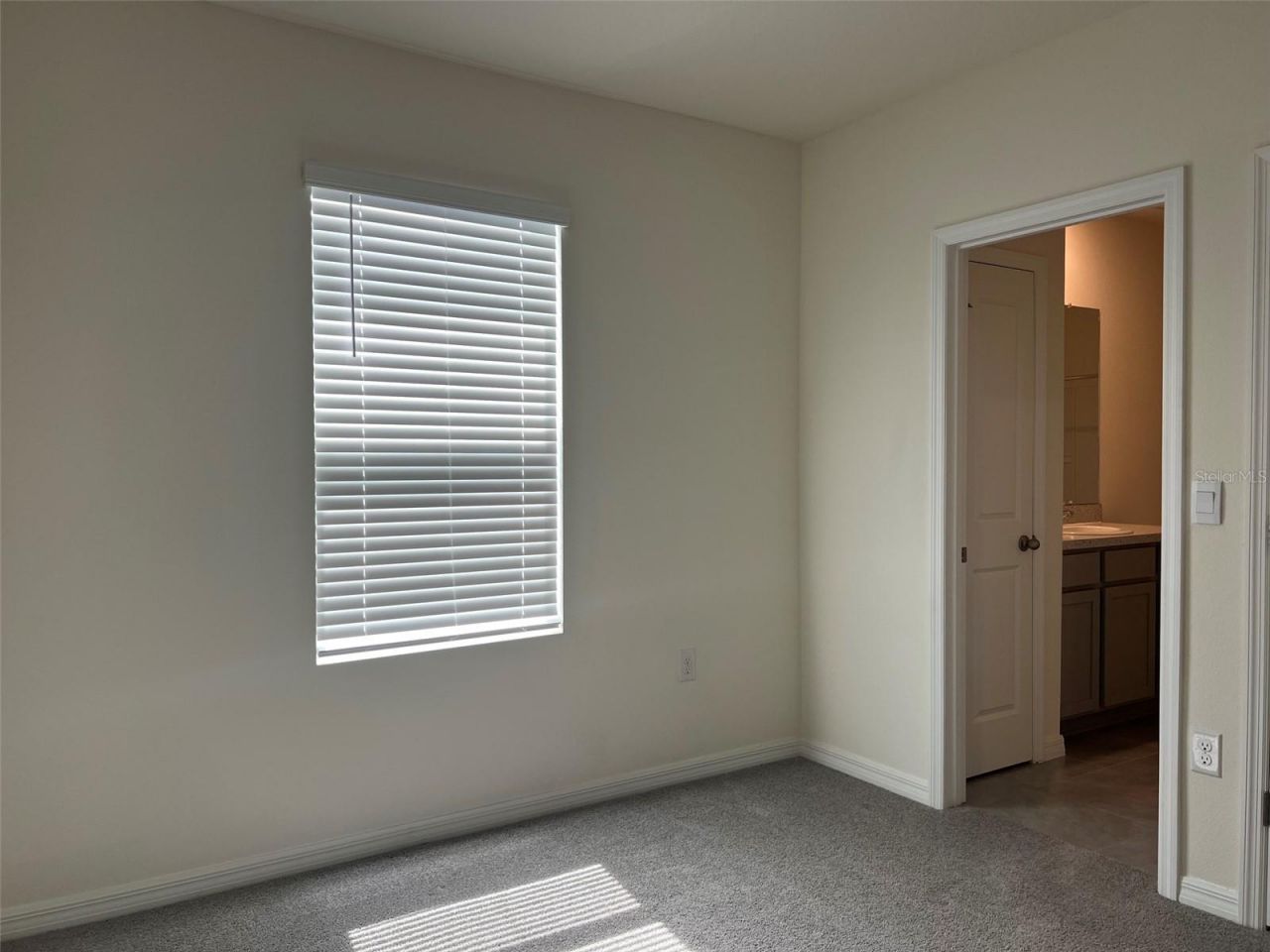 32978 Tulip Petal Lane , Wesley Chapel, FL 33545 Photo