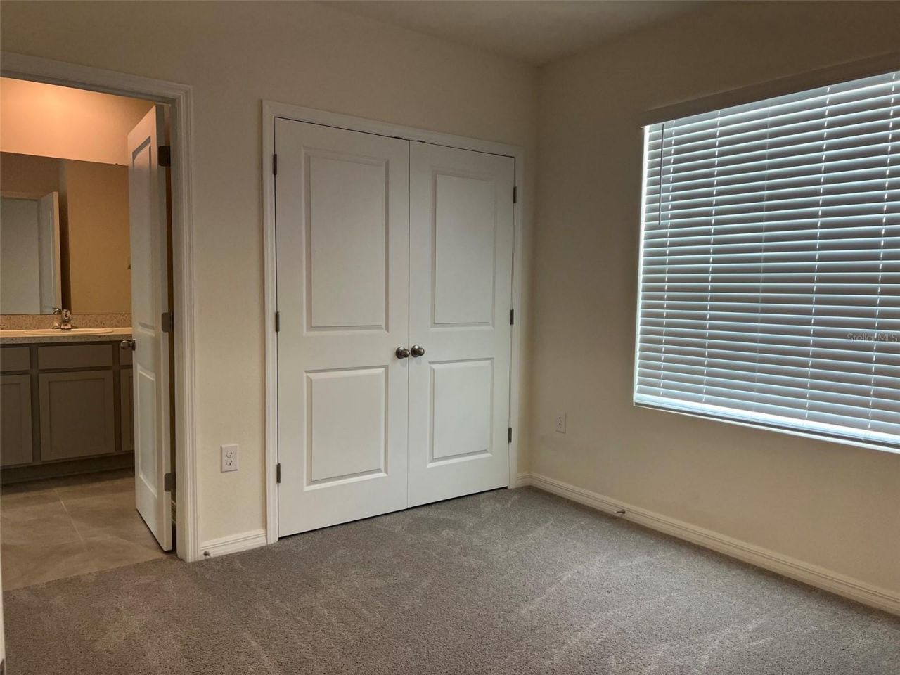 32978 Tulip Petal Lane , Wesley Chapel, FL 33545 Photo