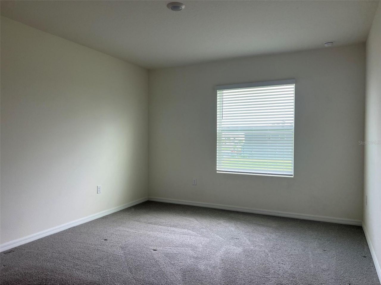 32978 Tulip Petal Lane , Wesley Chapel, FL 33545 Photo
