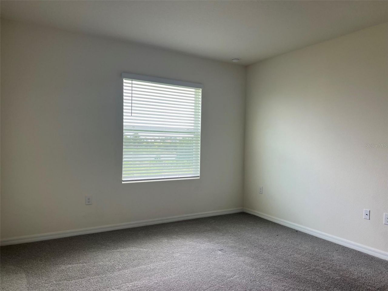 32978 Tulip Petal Lane , Wesley Chapel, FL 33545 Photo