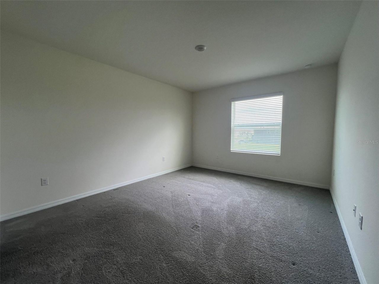 32978 Tulip Petal Lane , Wesley Chapel, FL 33545 Photo