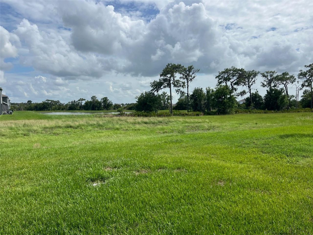 32978 Tulip Petal Lane , Wesley Chapel, FL 33545 Photo