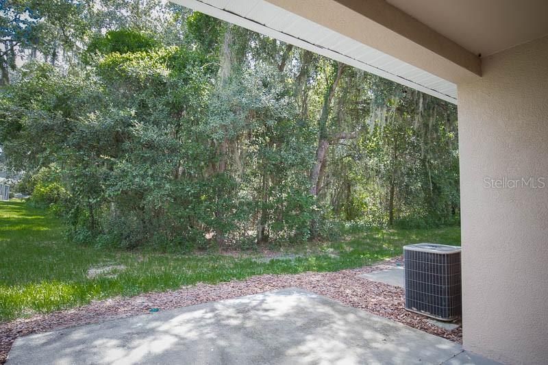 5879 Fishhawk Ridge Drive , Lithia, FL 33547 Photo