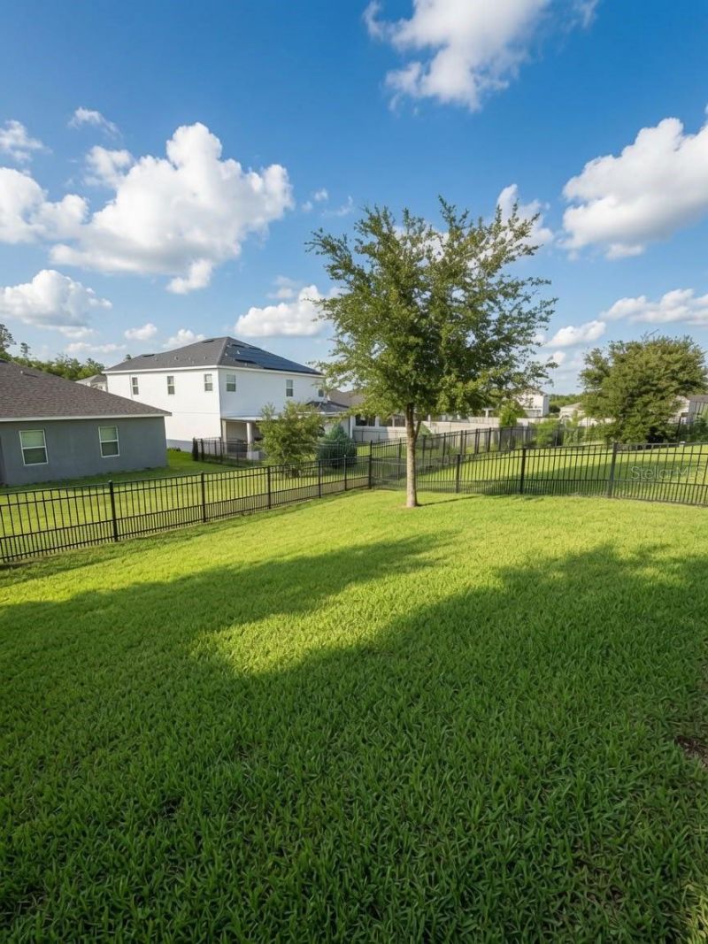 2822 Bigleaf Maple Drive , Ocoee, FL 34761 Photo