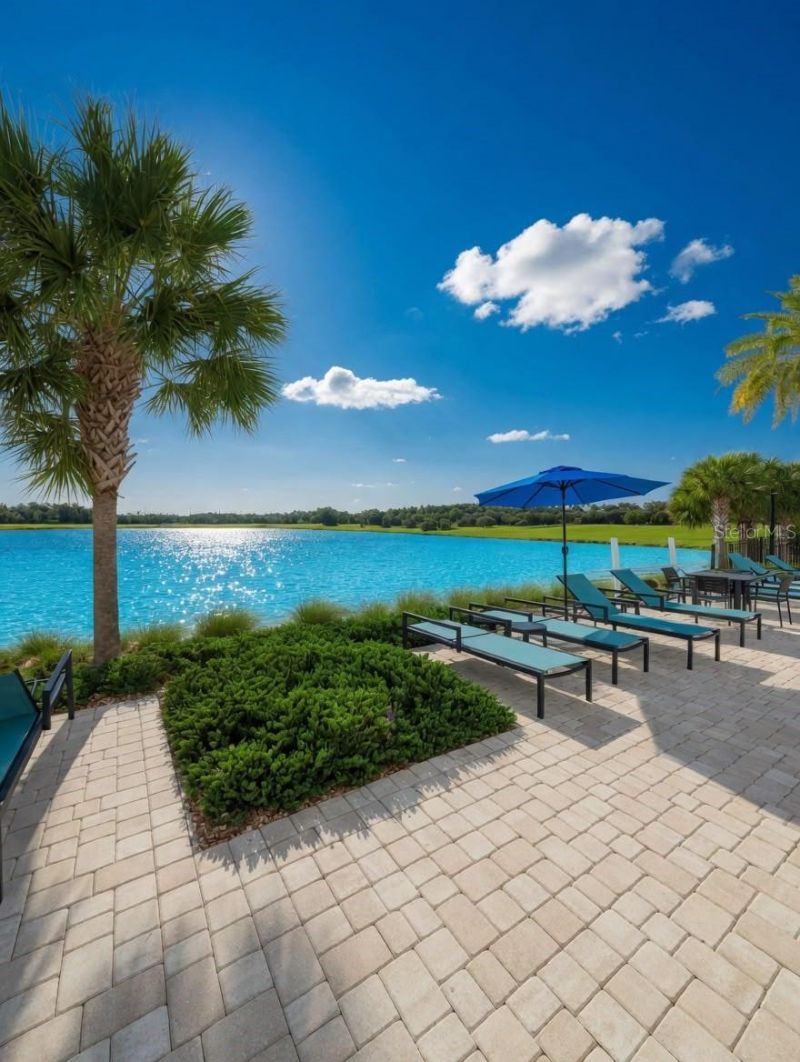 2822 Bigleaf Maple Drive , Ocoee, FL 34761 Photo