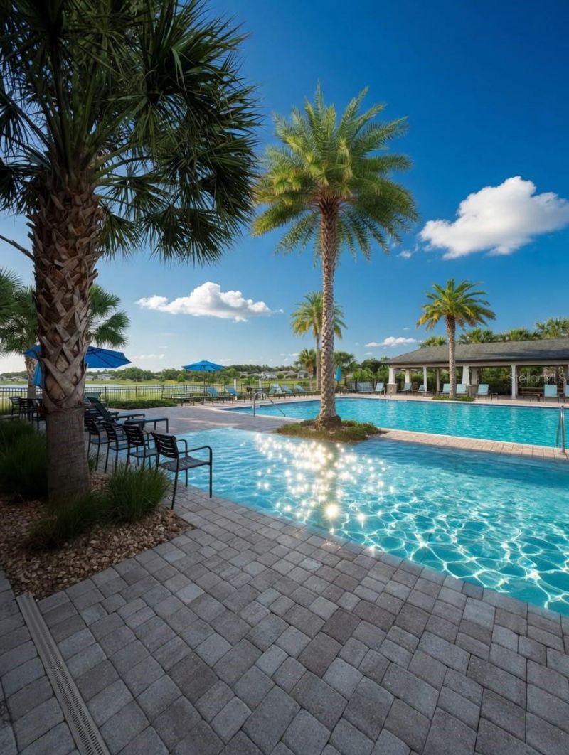 2822 Bigleaf Maple Drive , Ocoee, FL 34761 Photo