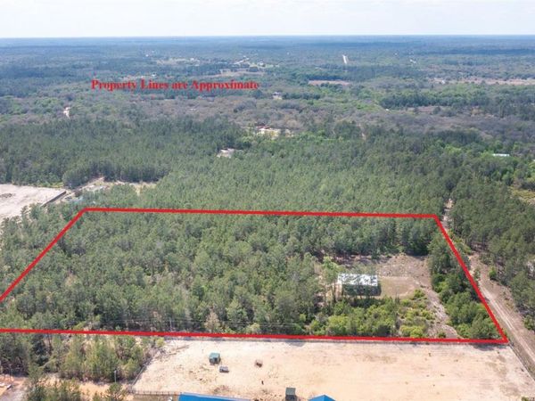 5276 ORGANIC ROAD , MELROSE, FL 32666