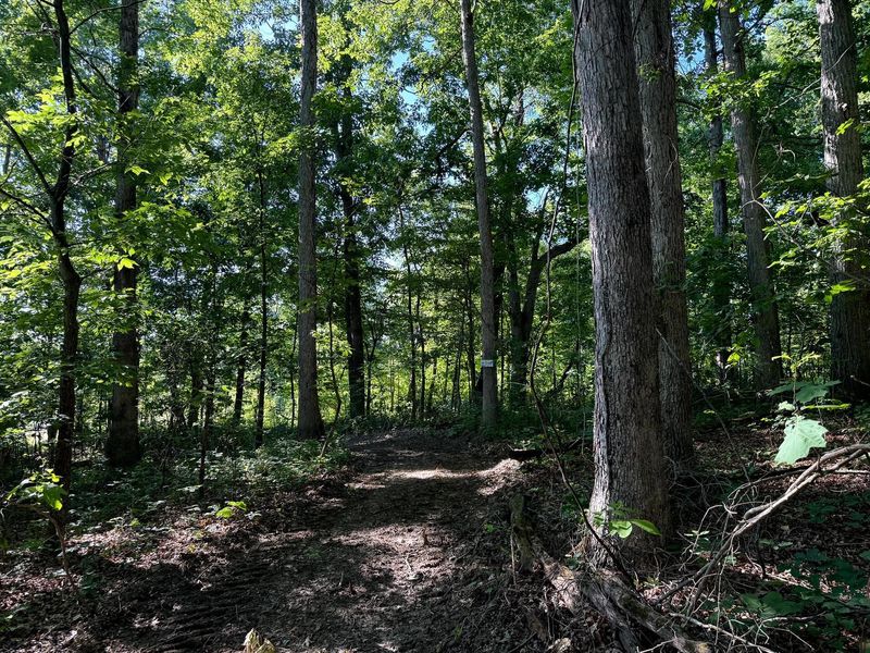 0 Cutlip St , Unit (Tract 11 , Jackson, OH 45640 Photo 19