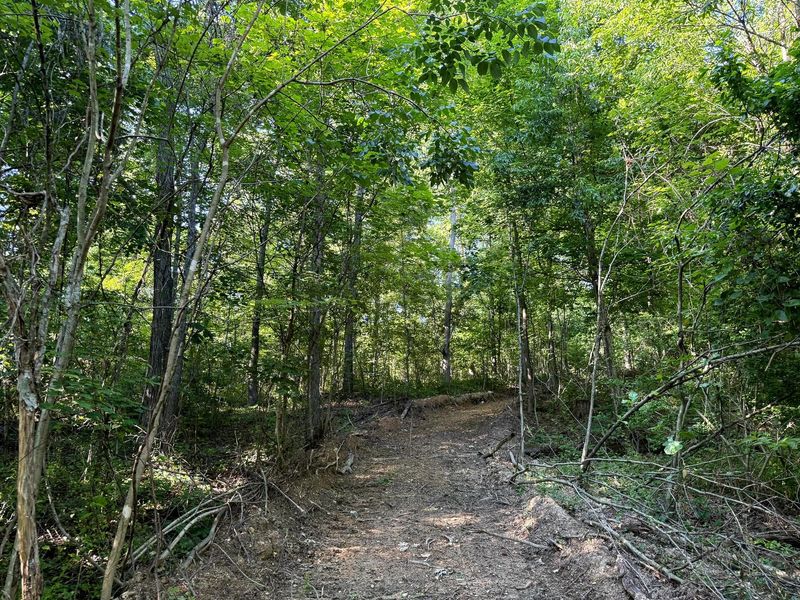 0 Cutlip St , Unit (Tract 11 , Jackson, OH 45640 Photo 20
