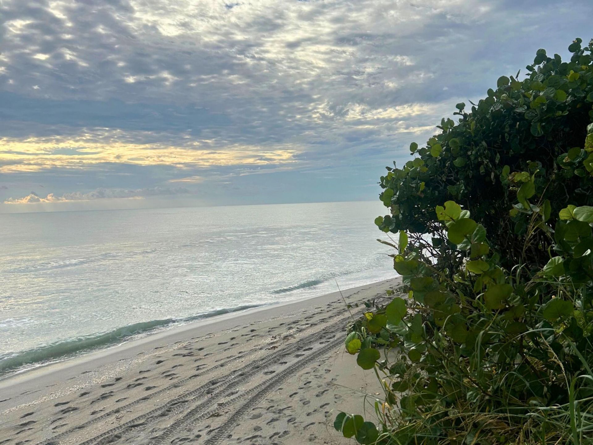 530 Ocean Drive, Unit 202, Juno Beach, FL 33408 Photo