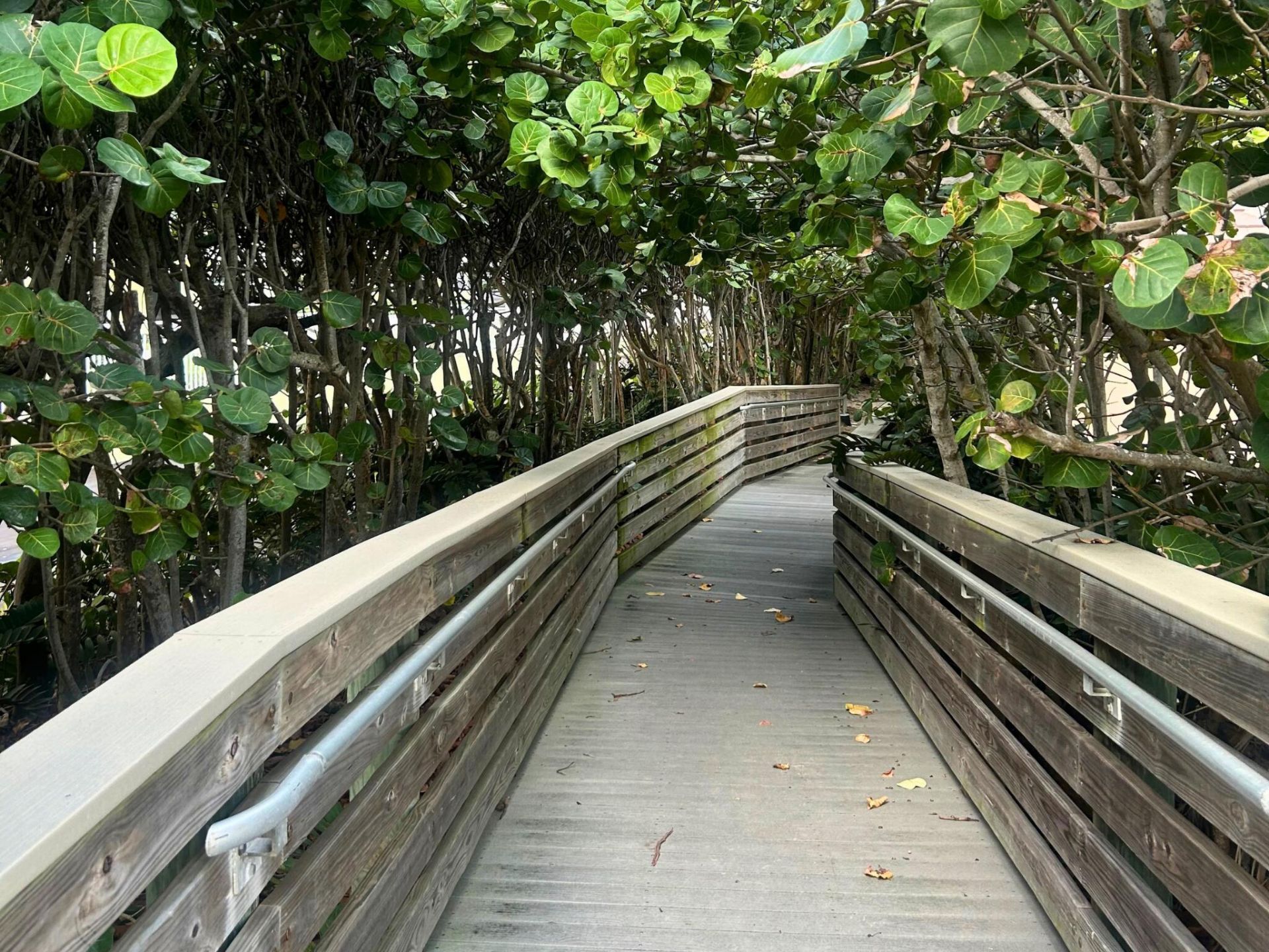 530 Ocean Drive, Unit 202, Juno Beach, FL 33408 Photo