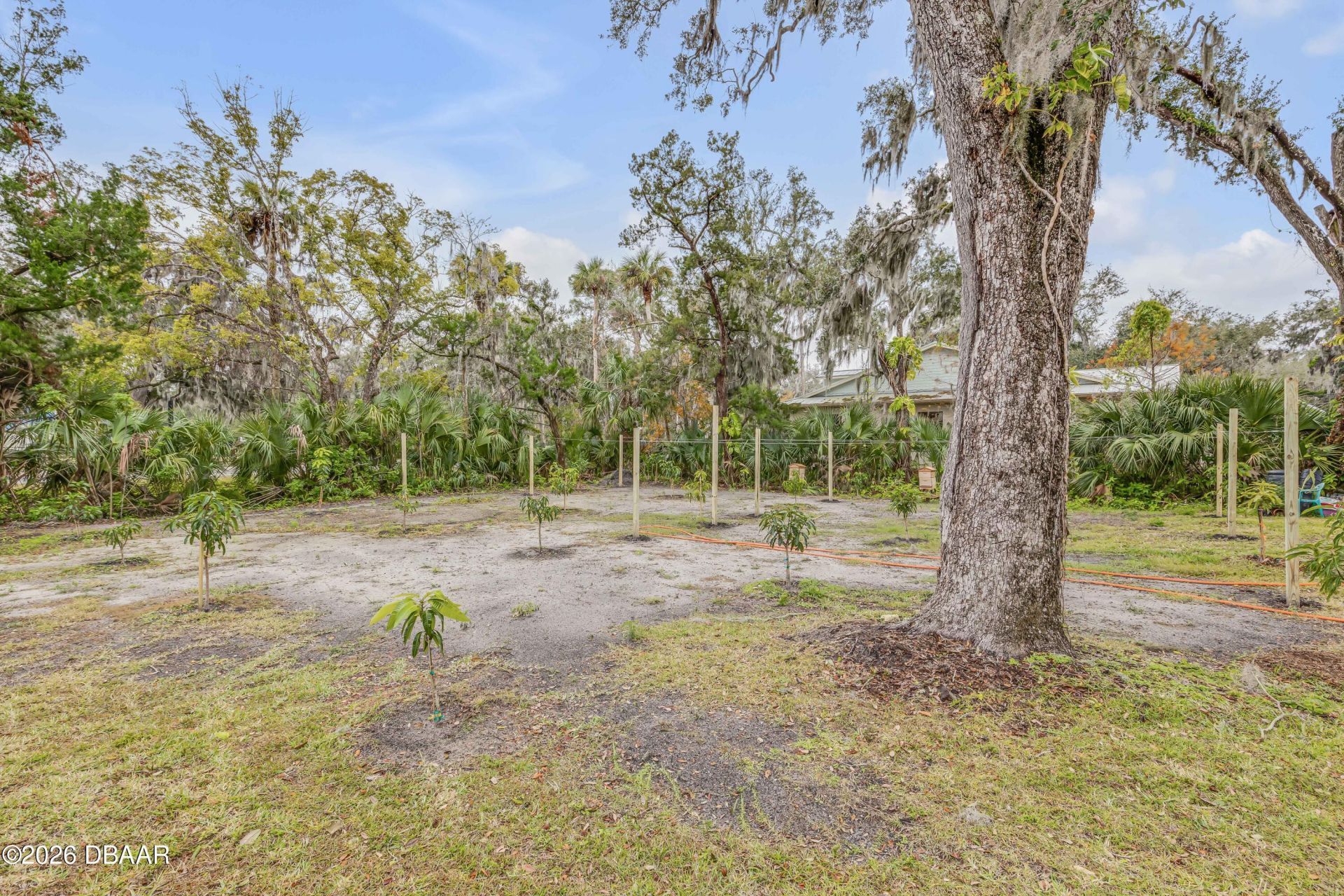 801 Canal Street, New Smyrna Beach, FL 32168 Photo