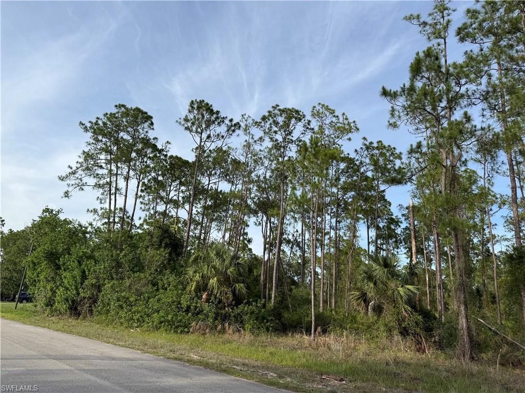 2202 Truman Ave , Alva, FL 33920 Photo