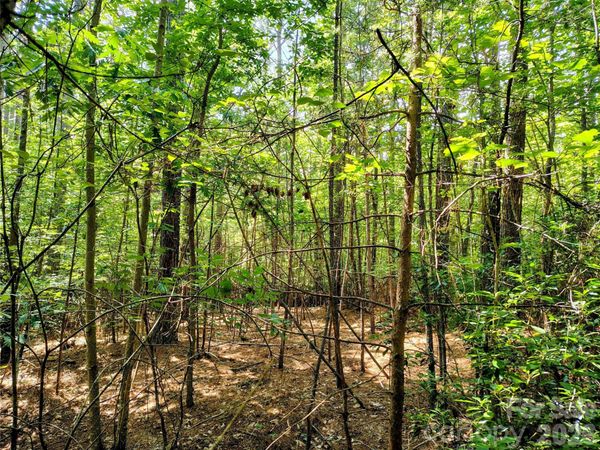 210 Harbor Ridge Drive, Connelly Springs, NC 28612